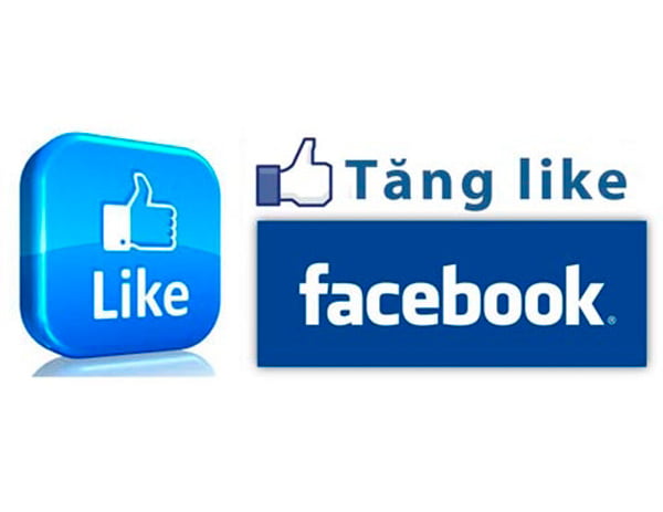 Dịch vụ tăng like fanpage tại Nam Định